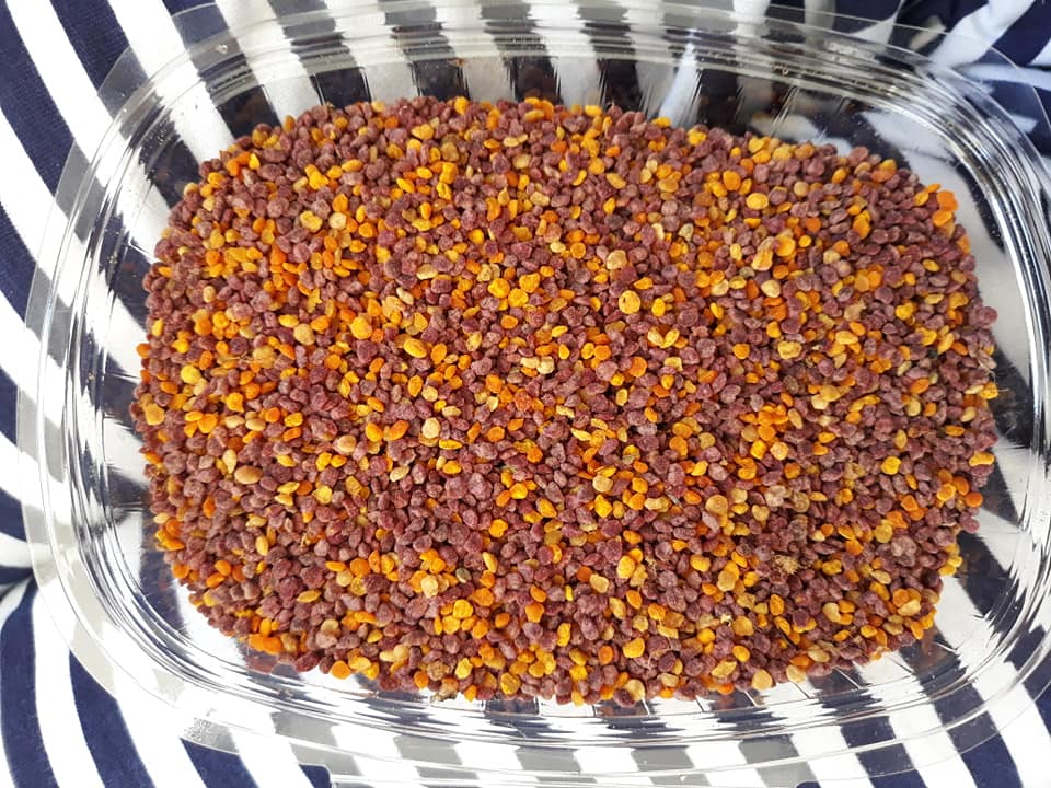 Crvena pelud